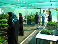 Sultan Quaboos University- Greenhouse